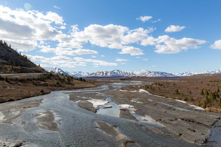 savage river denali national park