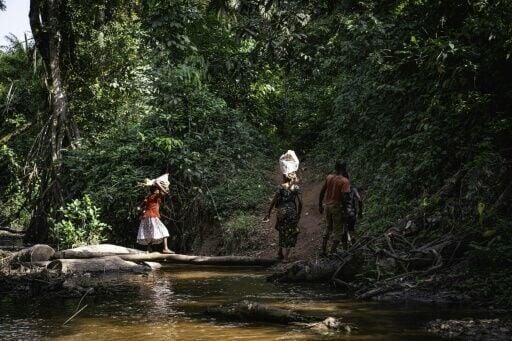 After four years of bureaucratic wrangling, villages making up the Yainyongo community in 2023 obtained two official concession titles, giving them control over 11,000 hectares of forest