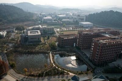 Covid's origins reviewed: Lab leak or natural spillover?