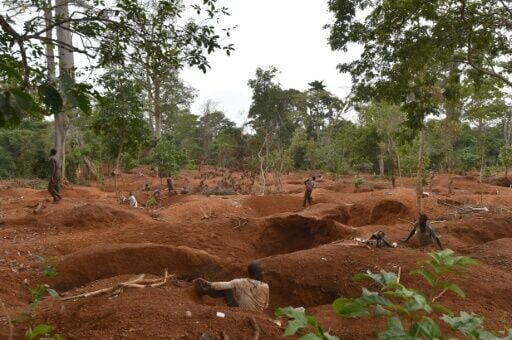 Ivory Coast wants bigger share of its mining boom