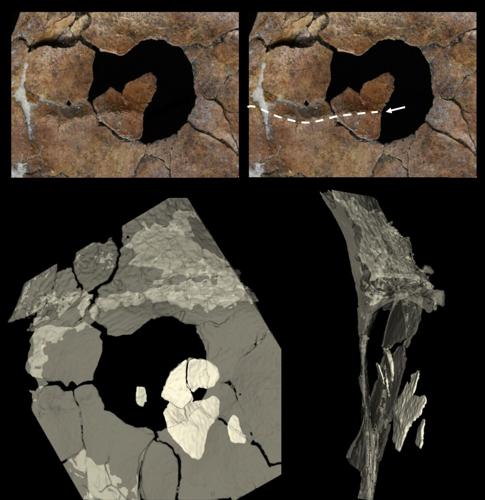 75,000-year-old wound may be earliest evidence of human ancestor killed by spear