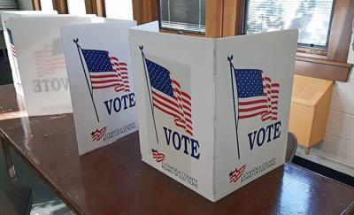 Voting stock