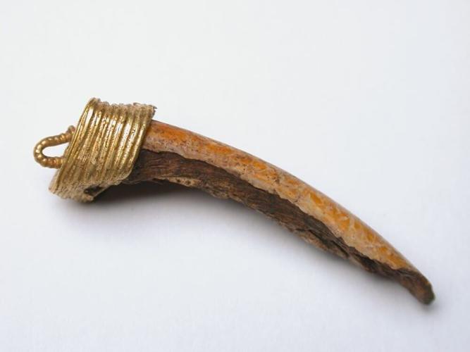 Origins of Britains largest medieval lead industry traced through human teeth