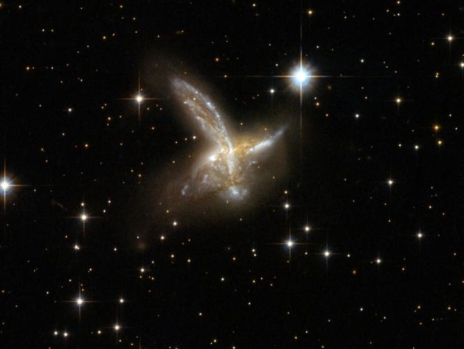birdgalaxy_featured