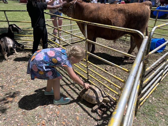 Petting zoo.jpg