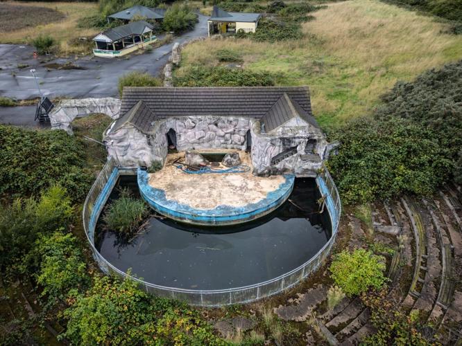 Abandoned theme park closed 10 years ago reclaimed by nature with eerie photos