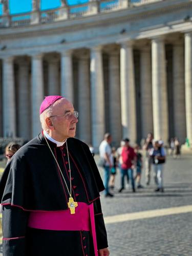 pexels-vishpix-12209689