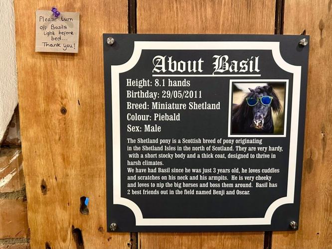 £180-a-night Airbnb – where you sleep in a barn with a horse