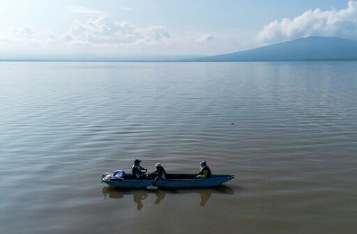 Mexican fishermen join fight to save extraordinary amphibian