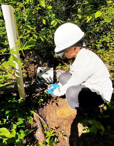Moundville well water
