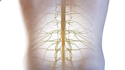 Implant, Robotics Can Ease Paralysis From Spinal Cord Injuries