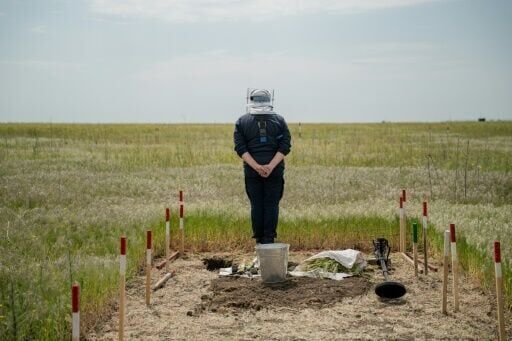 Demining Ukraine: from drones to risking it with a rake