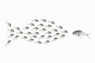 A need to be seen as the biggest fish may stem from pride and insecurity.