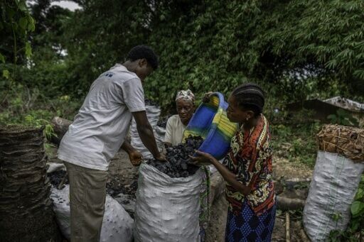 The charcoal trade fuels deforestation but is relied on by local communities, who earn 8,000 Congolese francs ($3) per sack