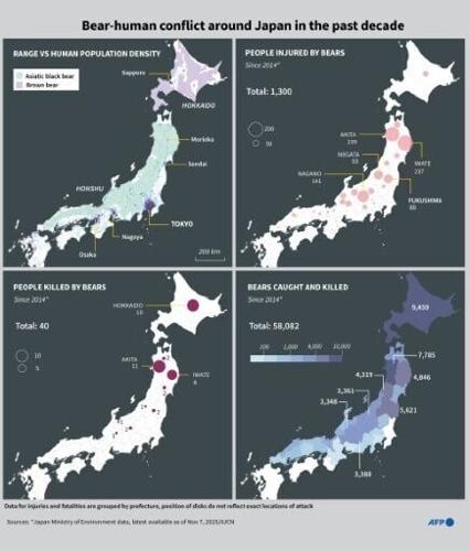 Bear-human conflict around Japan in the past decade