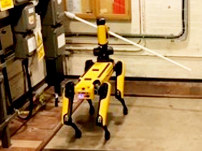 Robot dog called in to do job too dangerous for humans