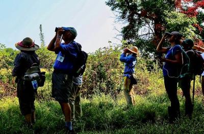 Birding Festival