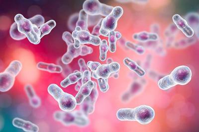 Fecal Transplant Potential First-Line Treatment For C. Difficile Infection