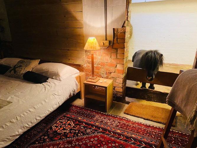 £180-a-night Airbnb – where you sleep in a barn with a horse