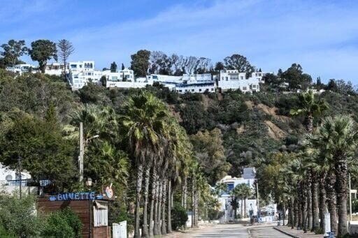 Tunisia's famed blue-and-white village threatened after record rains