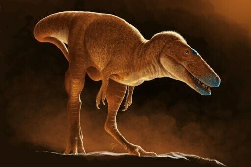 New T-Rex ancestor discovered in drawers of Mongolian institute