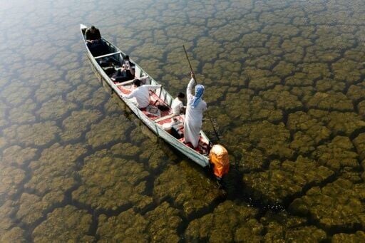 Years of drought have ravaged Iraq's marshes, but rainy spells this winter have revived hope