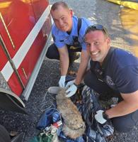 Montgomery firefighters rescue family pet from fire