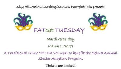 Fatcat Tuesday to raise money for animal adoption program