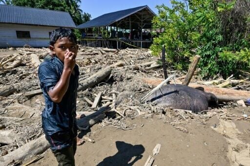 An endangered Sumatran elephant was buried in mud and debris left by floods in Meureudu near the north coast of Indonesia's Aceh province