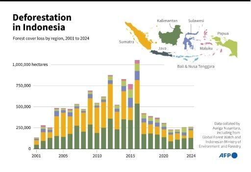 Indonesia deforestation rises for third year running: NGO