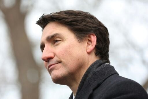 Canada's Trudeau: Liberal star who dazzled then fizzled