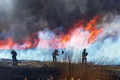 Wildfires Can Raise Rates of Heart Attacks, Deaths