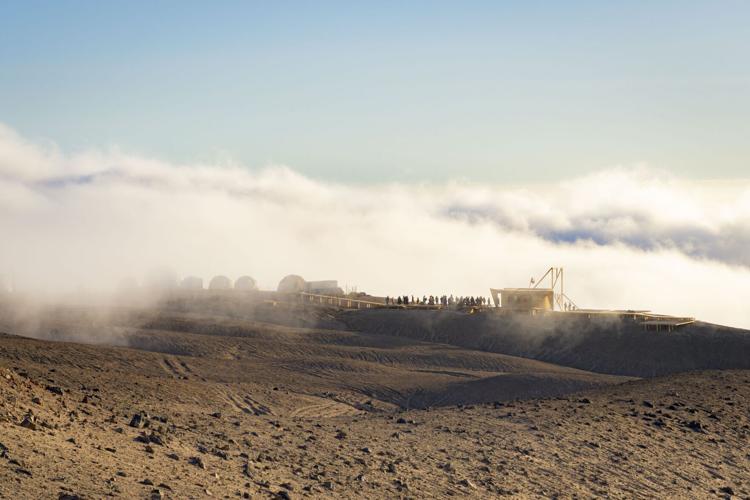 Spider silk thread close-up wins Royal Society Publishing Photography Competition
