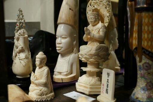 While Japan's ivory trade is legal only within the country, seizure data suggests ivory is leaving the domestic market