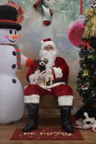 Photos with Santa in Selma-Dallas County