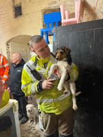 Firefighters rescue poor pup who got stuck in air vent