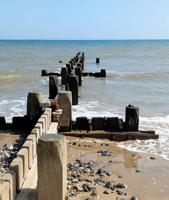 Jogger finds rare 80,000-year-old baby mammoth tooth on morning beach run