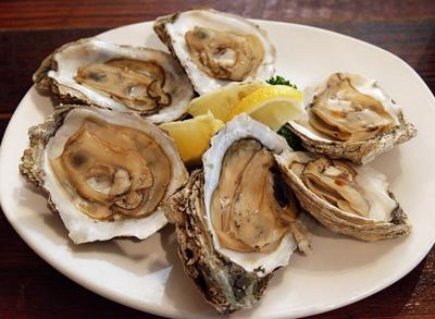 Oysters stock