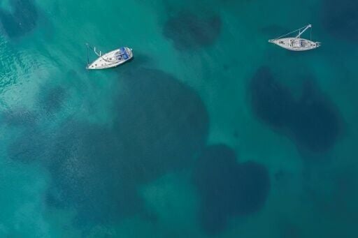 The underwater meadows of posidonia seagrass in Porto Rafti bay near Athens