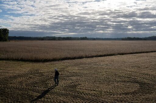While many US farmers have already bought the fertilizers they need for the year, those who waited have been hit with higher costs