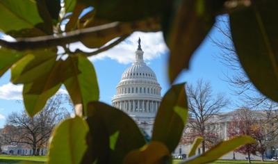 Capitol from ADN