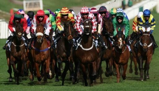 Cheltenham winner Jingko Blue (C) has the initials of the owners' son James Barney who was killed in a car crash