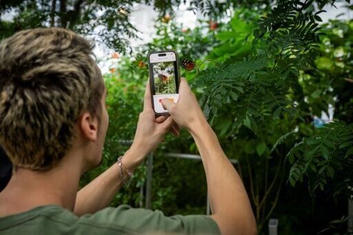 Canada AI project hopes to help reverse mass insect extinction