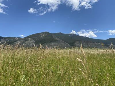 Grass in Tobacco Roots, newly added to Beaverhead-Deer Lodge