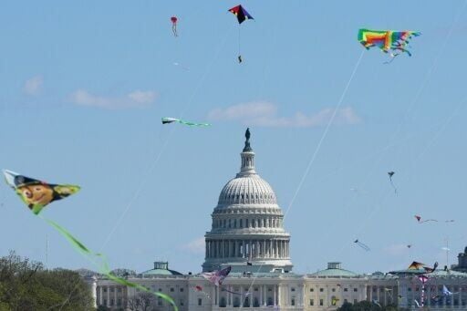 Kites fly during the Cherry Blossom Kite Festival on the National Mall in Washington, where demonstrators also gathered to protest the Trump administration