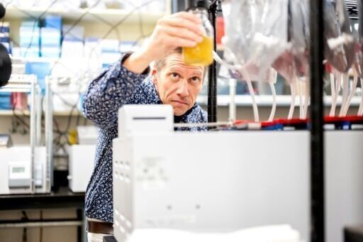 Scientists seek miracle pill to stop methane cow burps