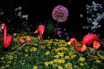 A front lawn can be a canvas for kitsch, elegance and everything in between.