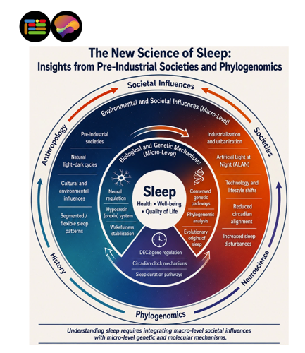 SWSCsleep