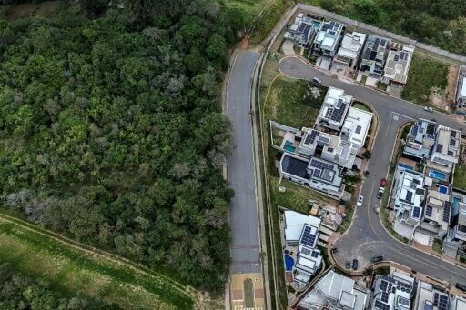 Sao Paulo's pumas under attack as 'stone jungle' threatens rainforest