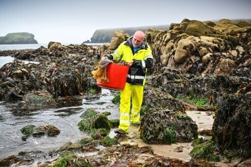 Distillery layoffs send shudders across remote Scottish island